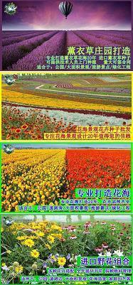 一命呜呼造句-用一命呜呼怎么造句
