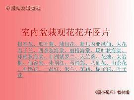 长跑比赛打一成语