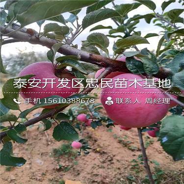 七年级我学会了忍耐