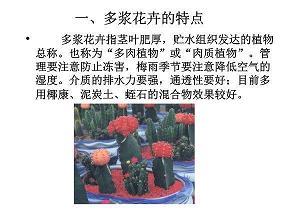 去语言班