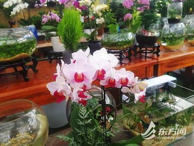 一看吓一跳打一成语