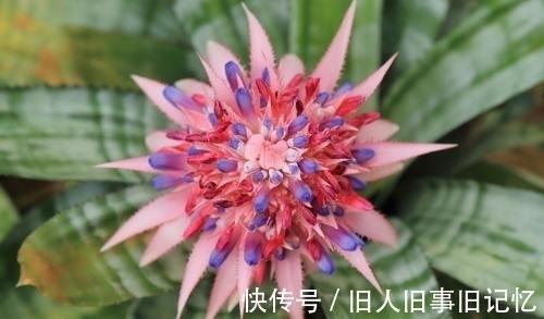 又是一年春末时
