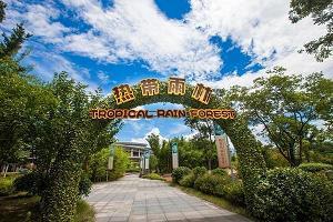伟大的爱———读《送给爸爸的礼物有感》