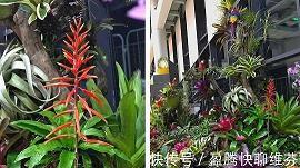 “活宝”传奇