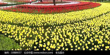 太阳真调皮