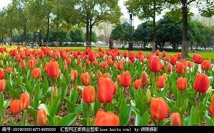 进退无途成语接龙游戏