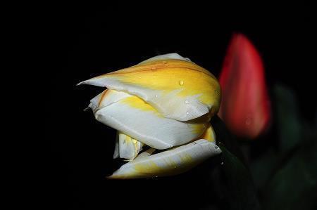 后顾之虞成语接龙游戏
