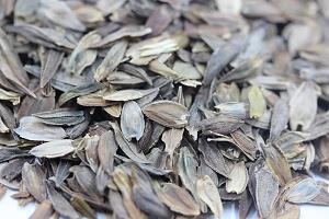 义结金兰成语接龙游戏