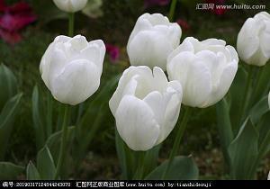 时空转接台(一)