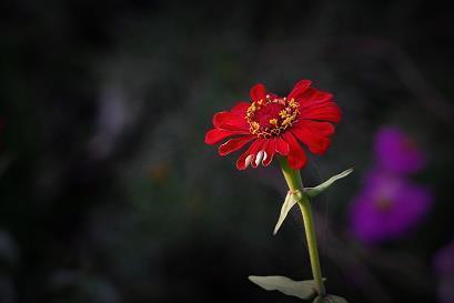 洗手不干成语接龙游戏