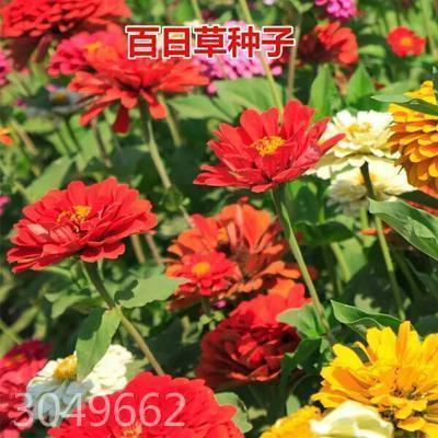殚谋戮力成语接龙游戏