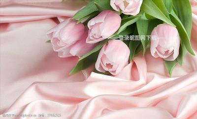 初晓赏秋