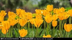 急拍繁弦成语接龙游戏