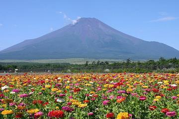 巫山云雨成语接龙游戏