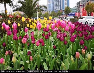 与文学同行
