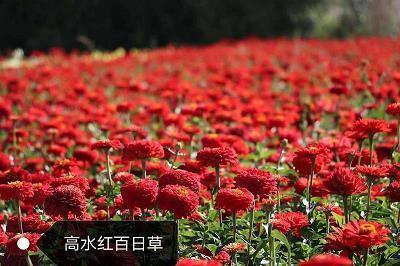 大节不夺成语接龙游戏