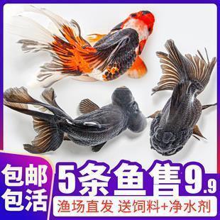 人生在世造句-用人生在世怎么造句