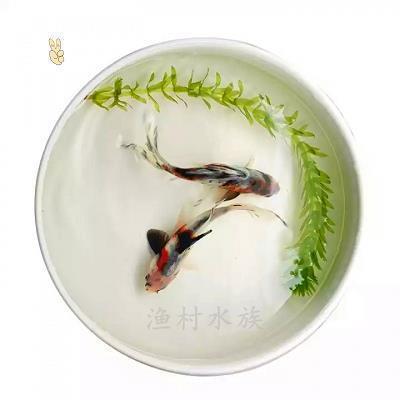 天长日久造句-用天长日久怎么造句