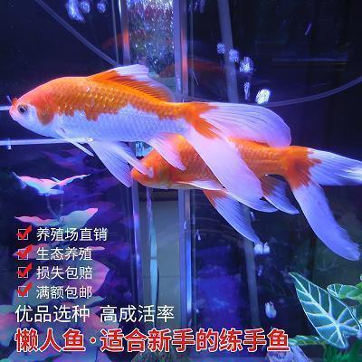 以恒为话题