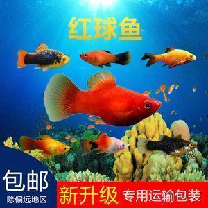 一本万利造句-用一本万利怎么造句