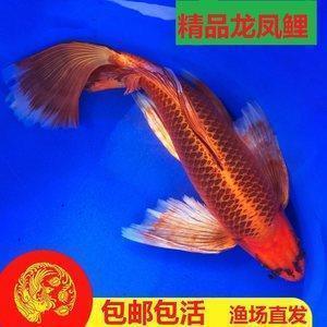 一一让我如此美丽
