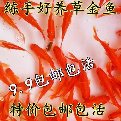最大的海洋打一成语