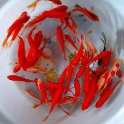 三个数学日记