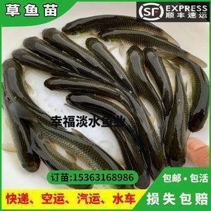 衮衣绣裳成语接龙游戏