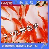 万众一心造句-用万众一心怎么造句