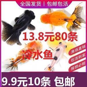 如画的秋天