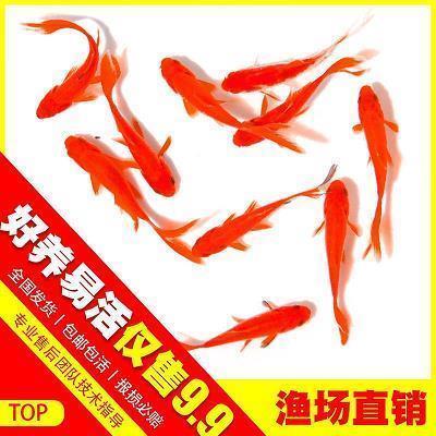 劳动的体会