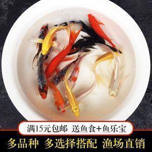 绣阁香闺成语接龙游戏