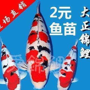打退堂鼓成语接龙游戏
