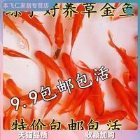 豪言壮语造句-用豪言壮语怎么造句