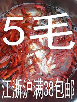 下雪天