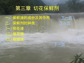 高步通衢成语接龙游戏