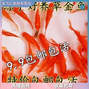 清辞丽句成语接龙游戏