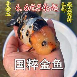大自然声音