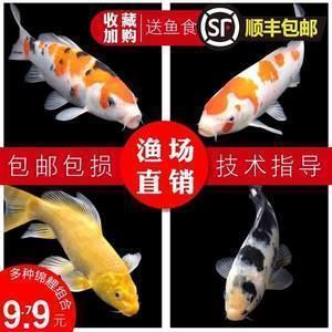 冬天是有用的