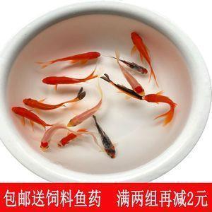 满袖春风成语接龙游戏