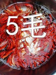 一次全新的经历