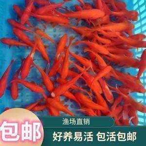 笑看儿辈已成人打一成语