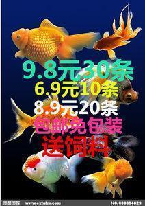 下雨天晒棉被打一成语