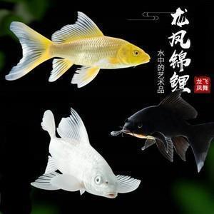 不在话下造句-用不在话下怎么造句