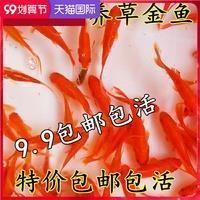 万绪千端成语接龙游戏