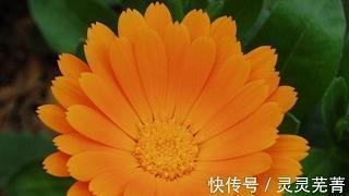 十分打一成语