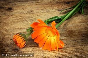 雍容大雅成语接龙游戏