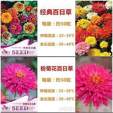 民穷财尽成语接龙游戏