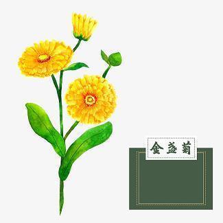 僧多粥少造句-用僧多粥少怎么造句
