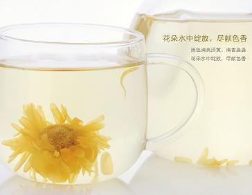 大自然的建筑师